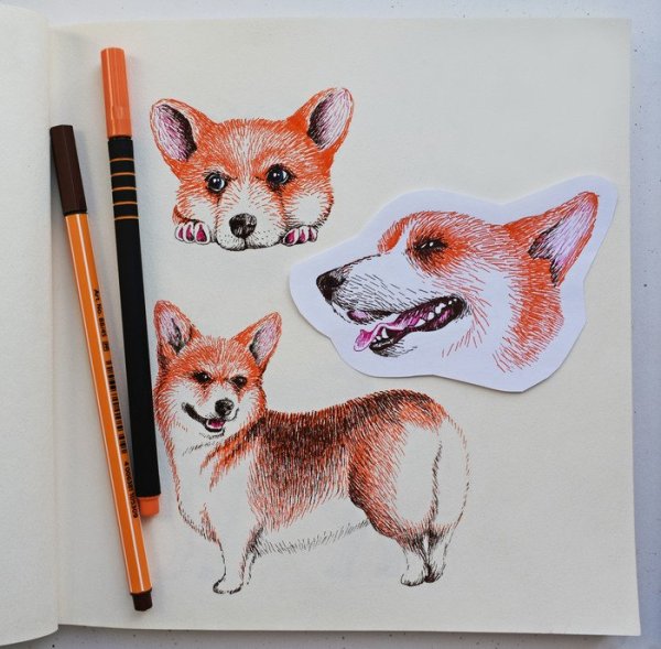 Рисунки маркерами корги