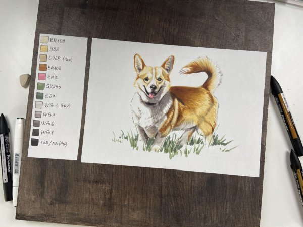 Скетчинг маркерами корги