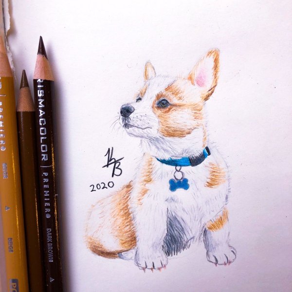 Рисунки маркерами корги