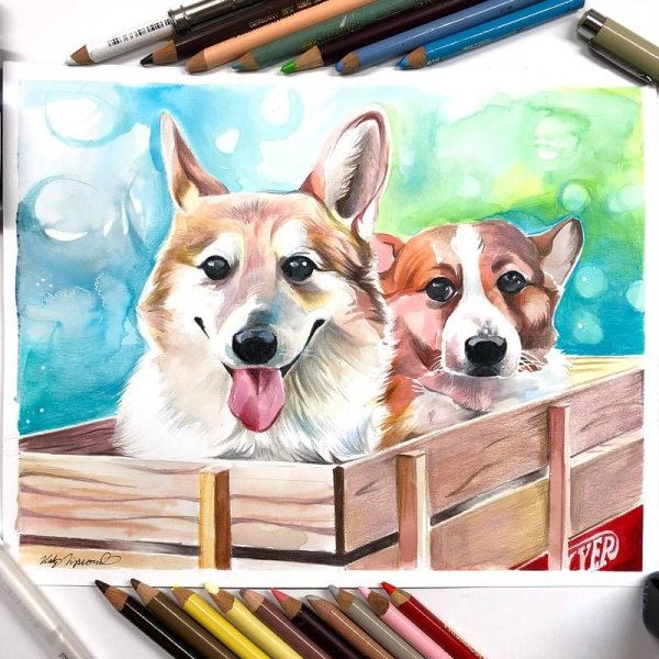 Рисунки собак маркерами