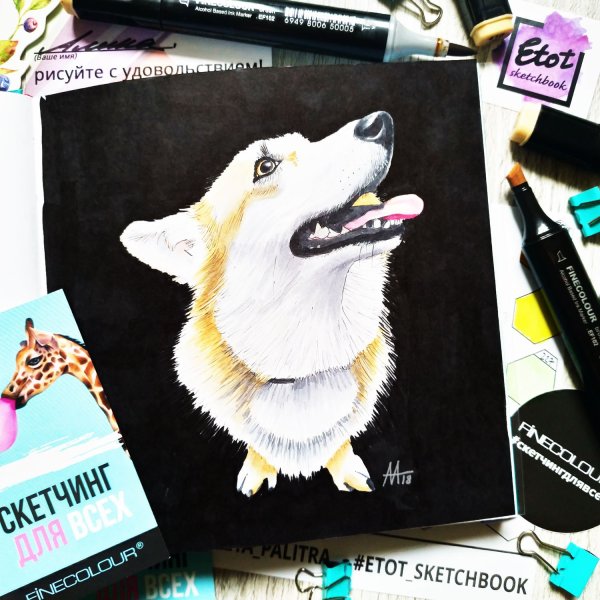 Корги скетч маркерами