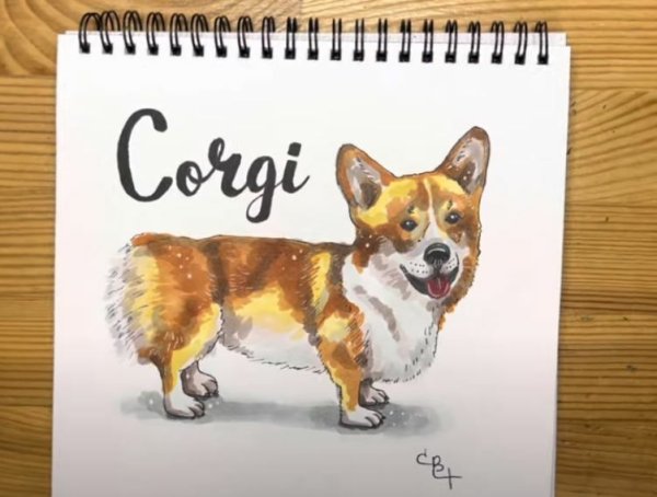 Скетчинг для детей корги