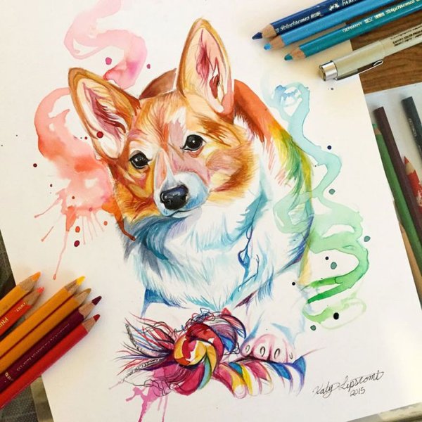 Скетчинг корги