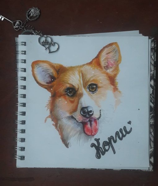 Рисунки маркерами корги