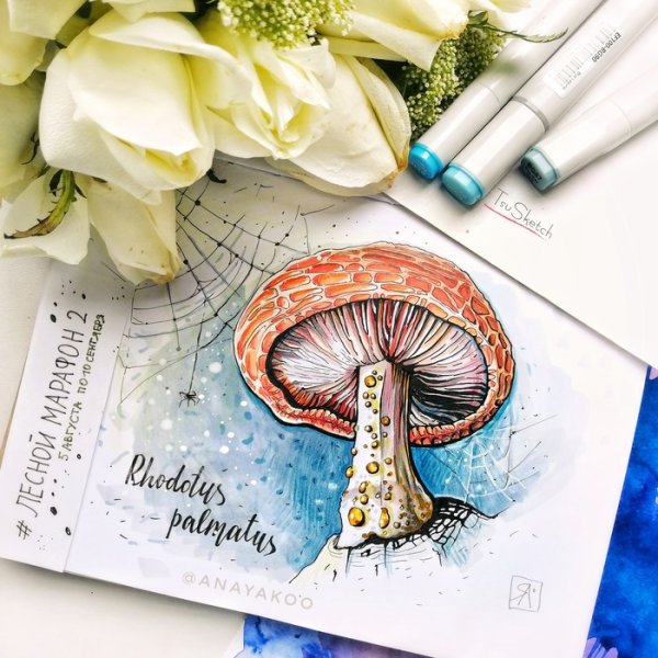 Грибы маркерами для скетчинга