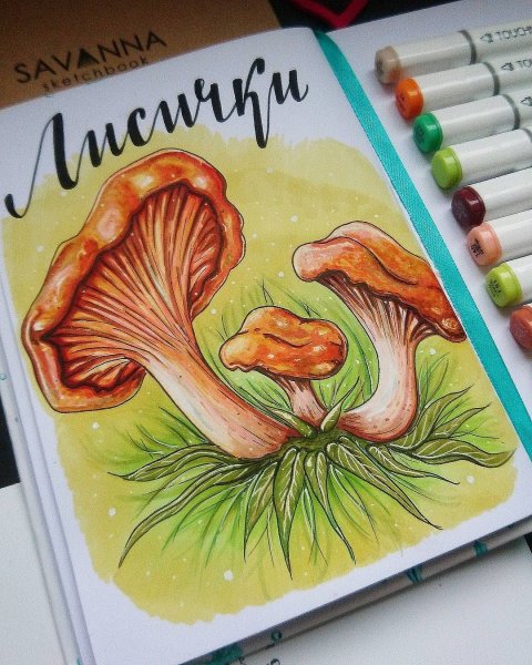Рисунки маркерами грибы