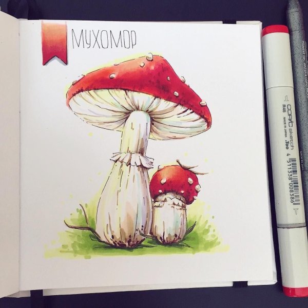 Мухомор скетч маркерами