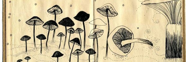 Рисунки в скетчбук грибы