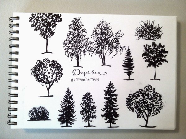 Зарисовки деревьев маркером