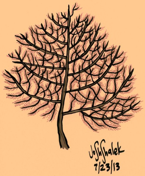 Нарисовать дерево фломастером