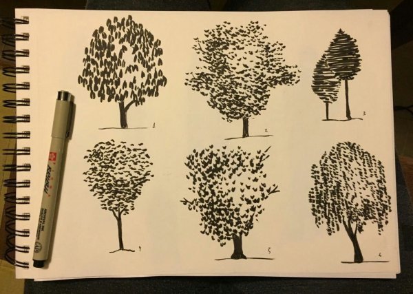 Дерево для рисования