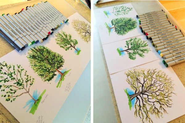 Деревья и кусты спиртовыми маркерами