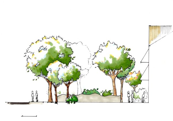 Скетчинг деревьев и кустарников