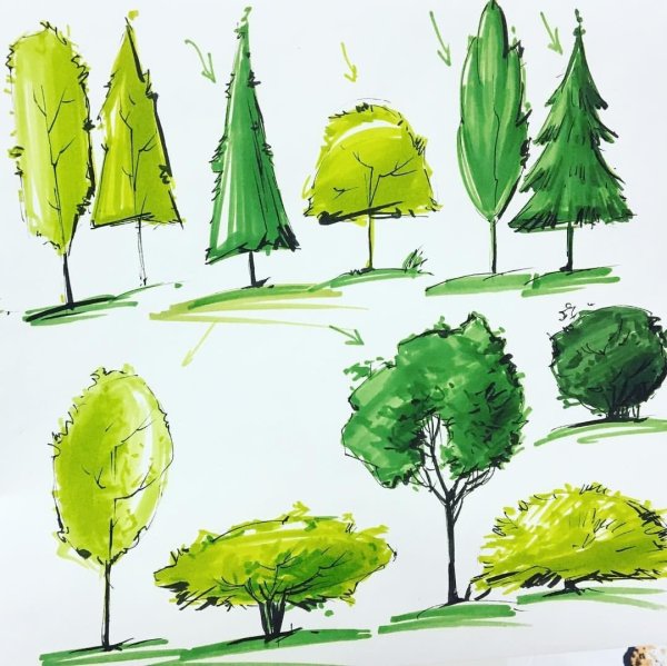 Ландшафтный скетчинг