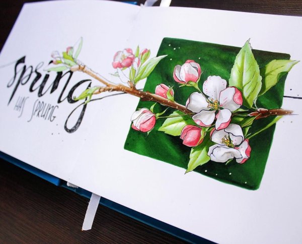 Цветы для скетчбука маркерами