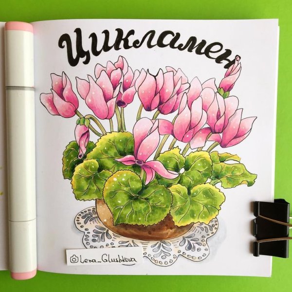 Рисуем цветы фломастерами