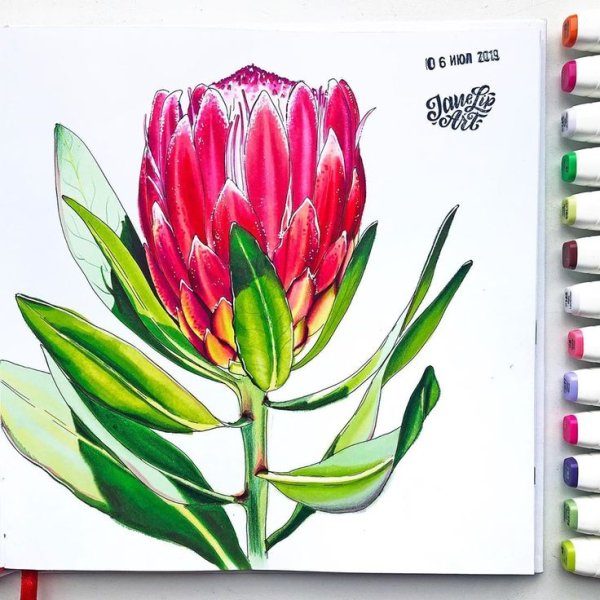 Рисование маркерами цветы