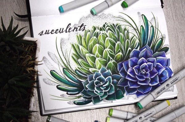 Скетчи маркерами ботаника