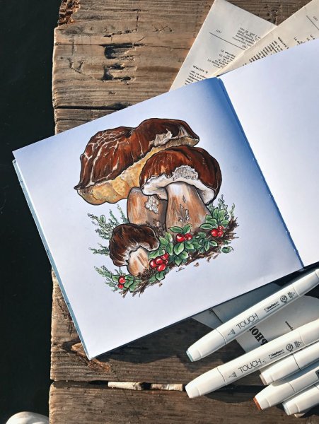 Грибы маркерами