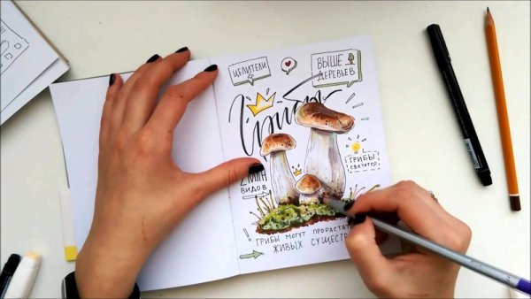 Грибы скетч маркерами