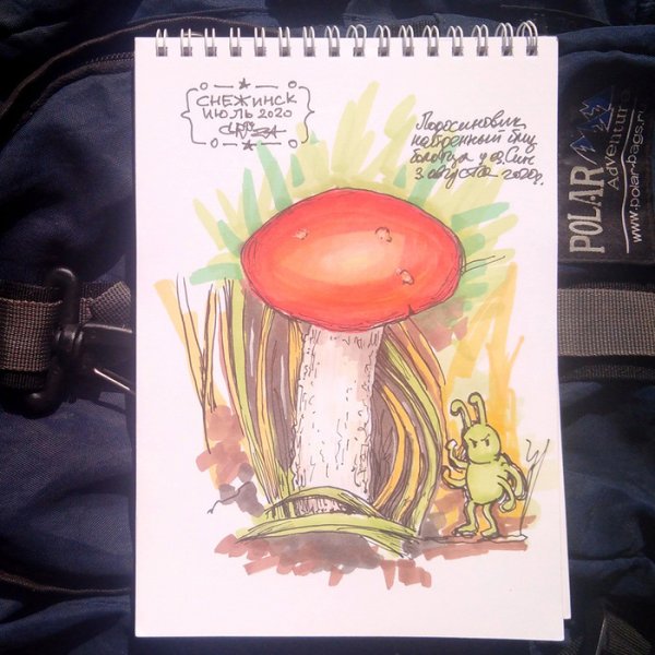 Грибы скетчинг маркерами