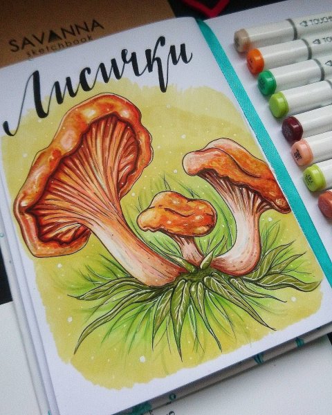 Рисунки маркерами грибы