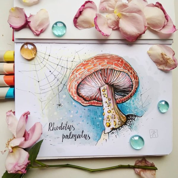 Грибы скетч маркерами