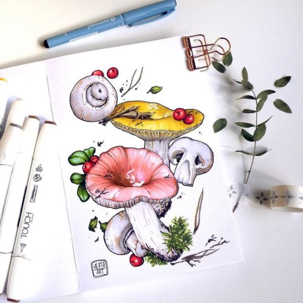 Грибы скетч маркерами