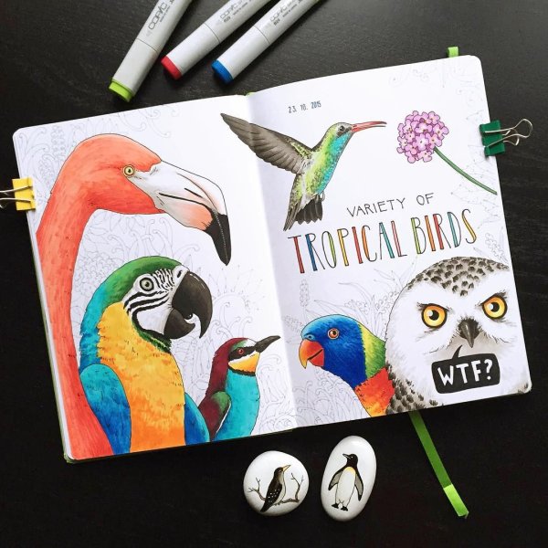 Обзор скетчбука