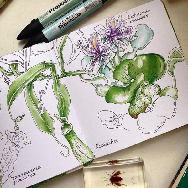 Арты девушек маркерами