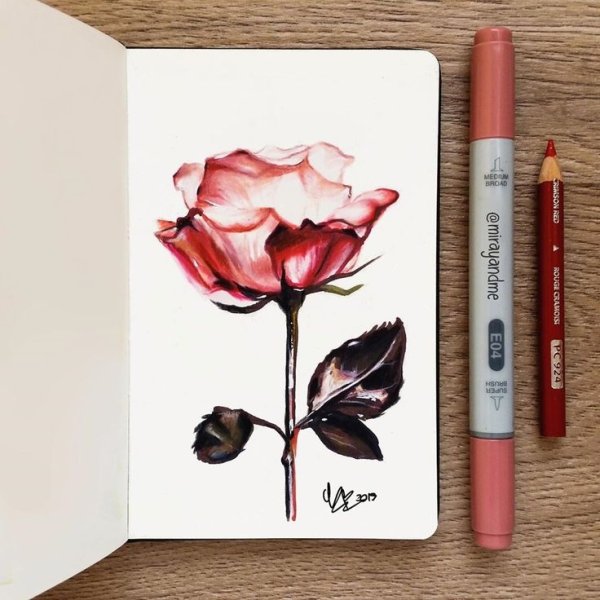 Роза фломастером