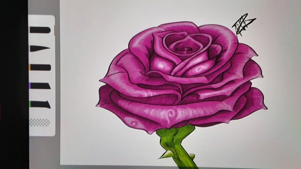 Роза скетч акварель