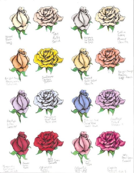 Роза фломастером