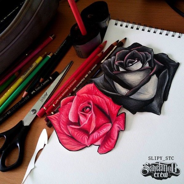 Роза скетч маркерами