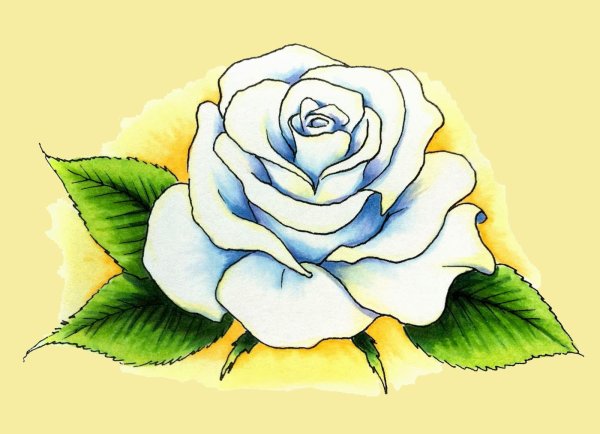 Художник Samira Yanushkova