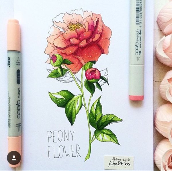 Лёгкие рисунки