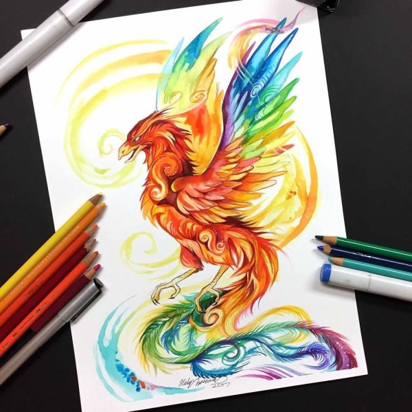 Феникс красками