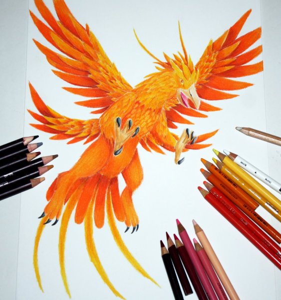 Феникс эскиз цветной