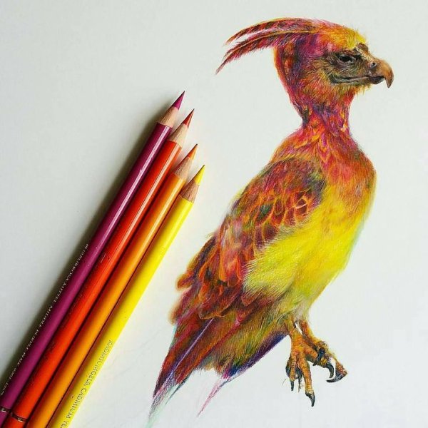 Рисунки маркерами Lighane животные