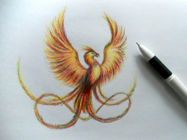 Aquarela Феникс