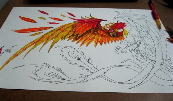 Дракон маркерами