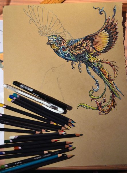 Фантастические существа цветными карандашами