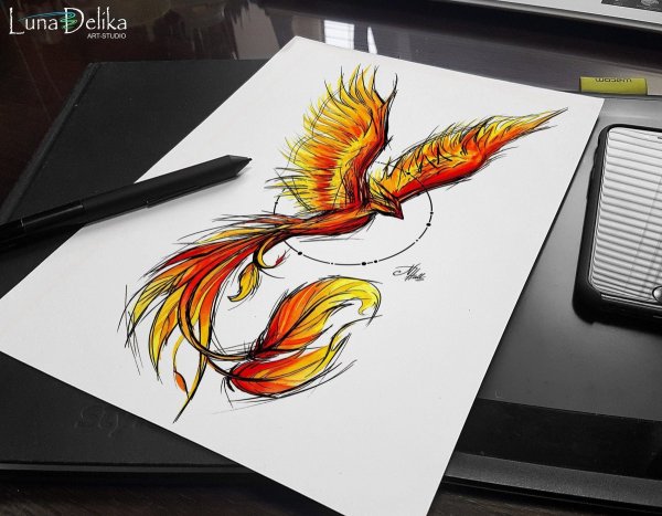 Волки Кэти Липскомб