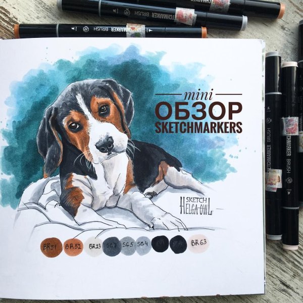 Собака маркерами