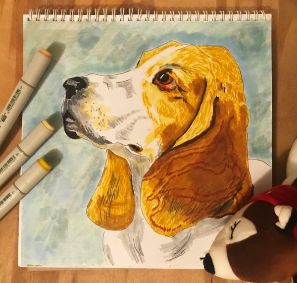 Собаки маркерами рисование