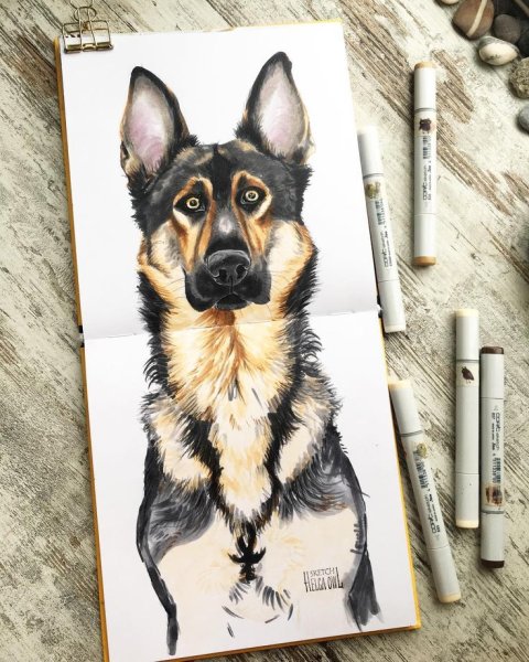 Собака скетч маркерами