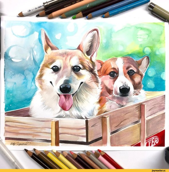 Корги скетч маркерами