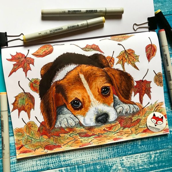 Животные фломастерами