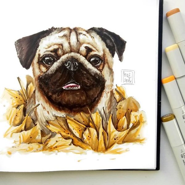 Скетчинг Мопс