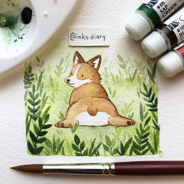 @Inky.Diary корги